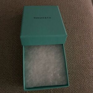 Tiffany & Co. Turquoise Gift Box